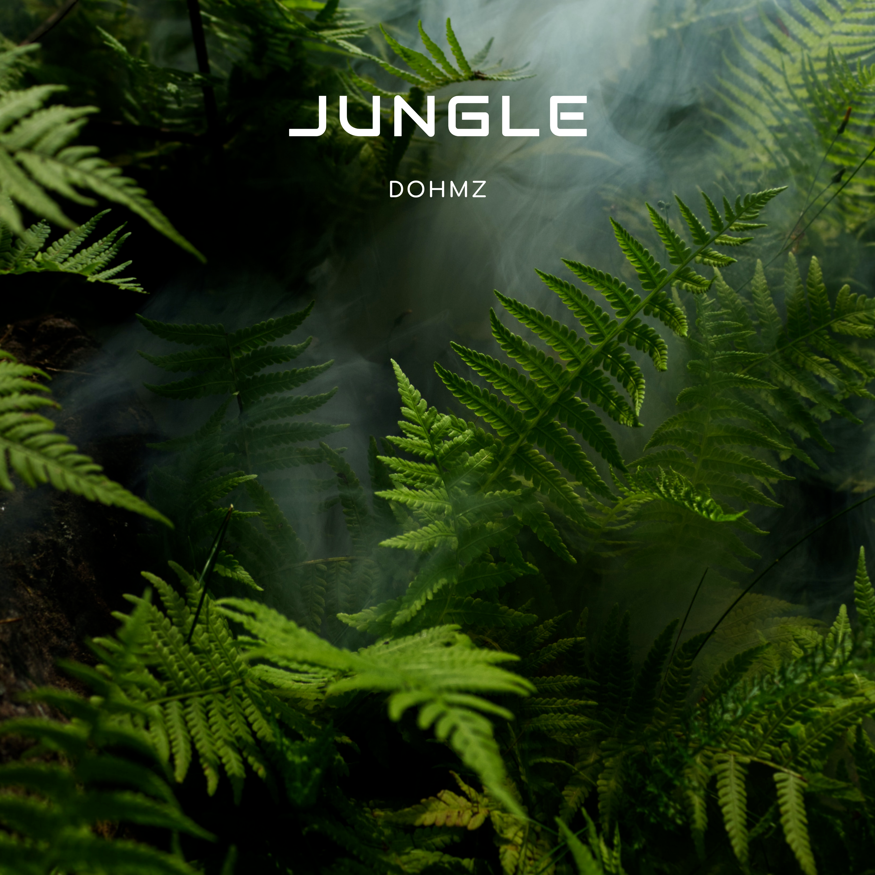 DOHMZ unveils new release Jungle